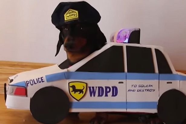 Screen-Shot-2015-03-12-at-114048